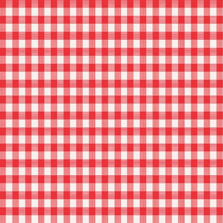 Magic Cover Magic Cover Red/White Checkered Vinyl Disposable Tablecloth 70 in. L X 52 in. W TBL-MC567-36